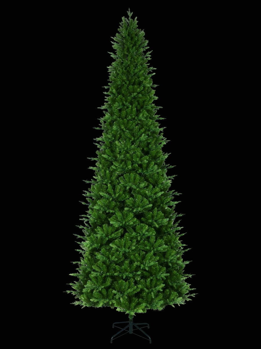 Alberta Slim Spruce 12'